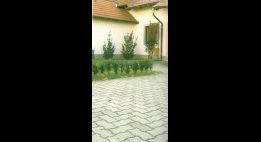Tlakovec S (1)